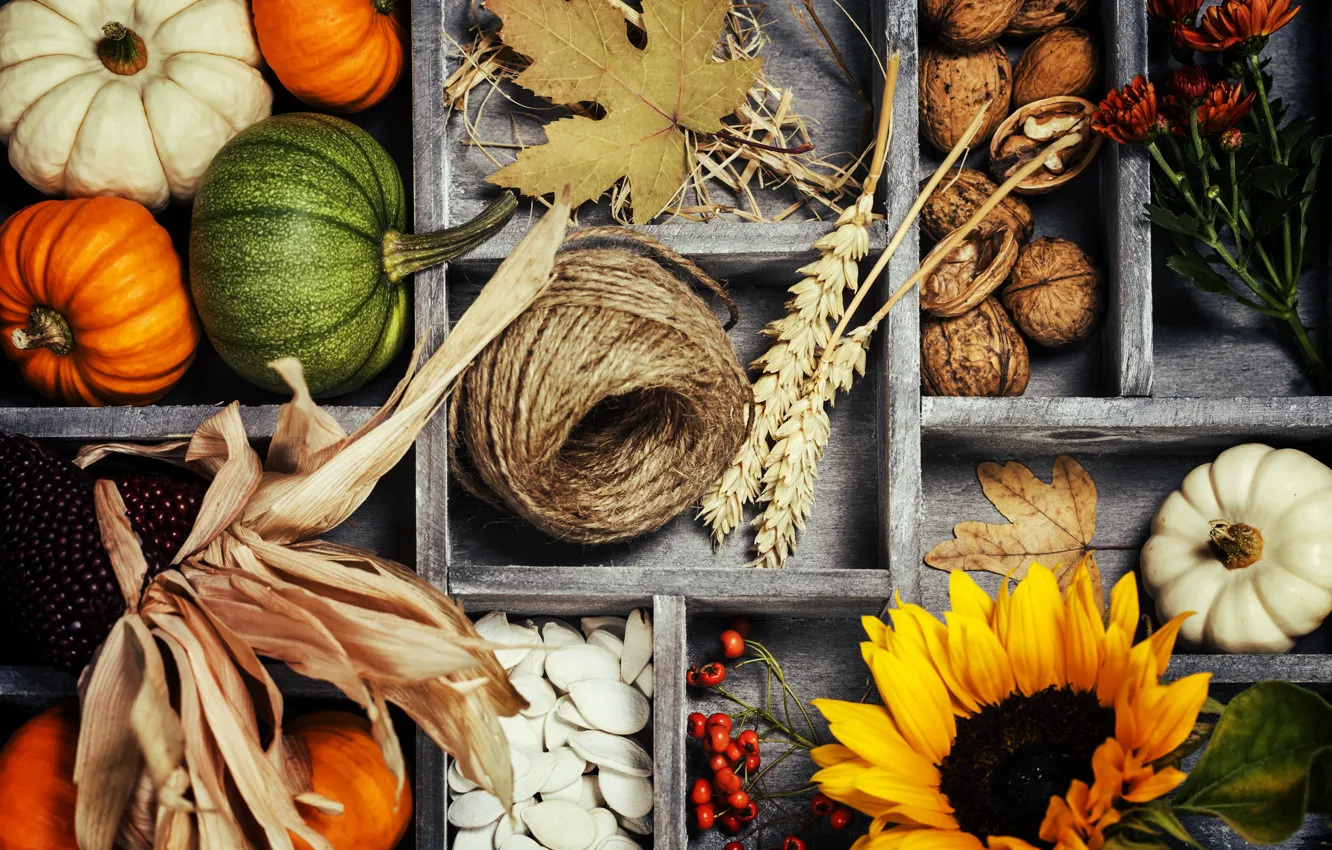 Photo wallpaper autumn, leaves, basket, harvest, pumpkin, vegetables, autumn, still life