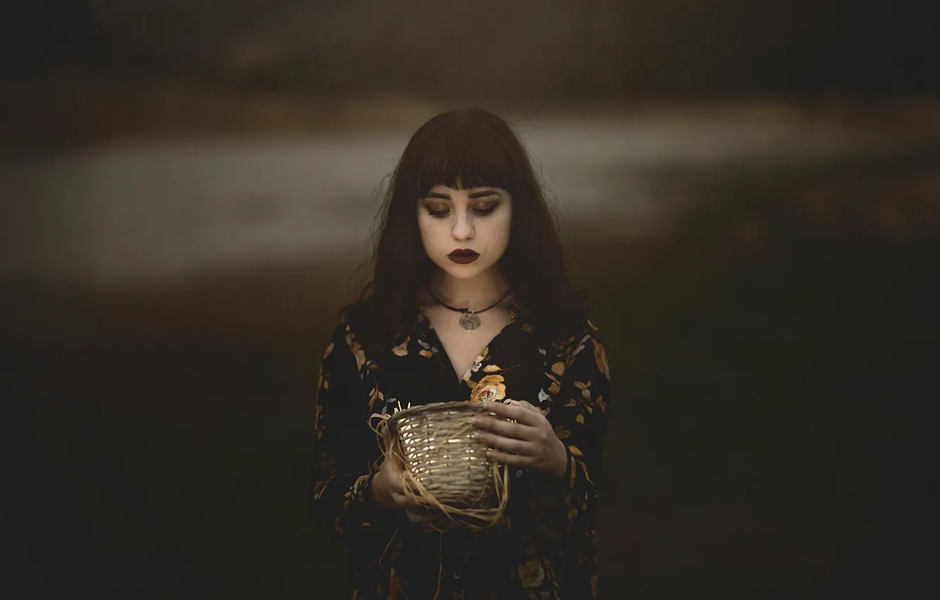 Photo wallpaper girl, light, face, darkness, portrait, basket