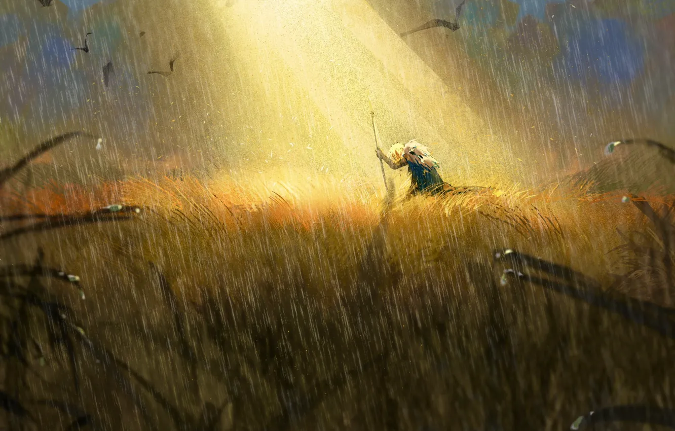 Photo wallpaper grass, light, rain, bird, male, Fire Emblem, Dimitri Alexandre Blaiddyd