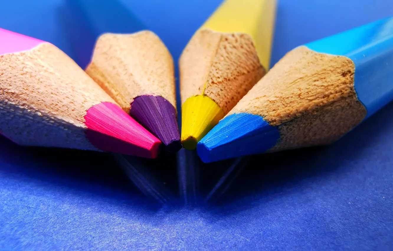 Photo wallpaper macro, color, pencils