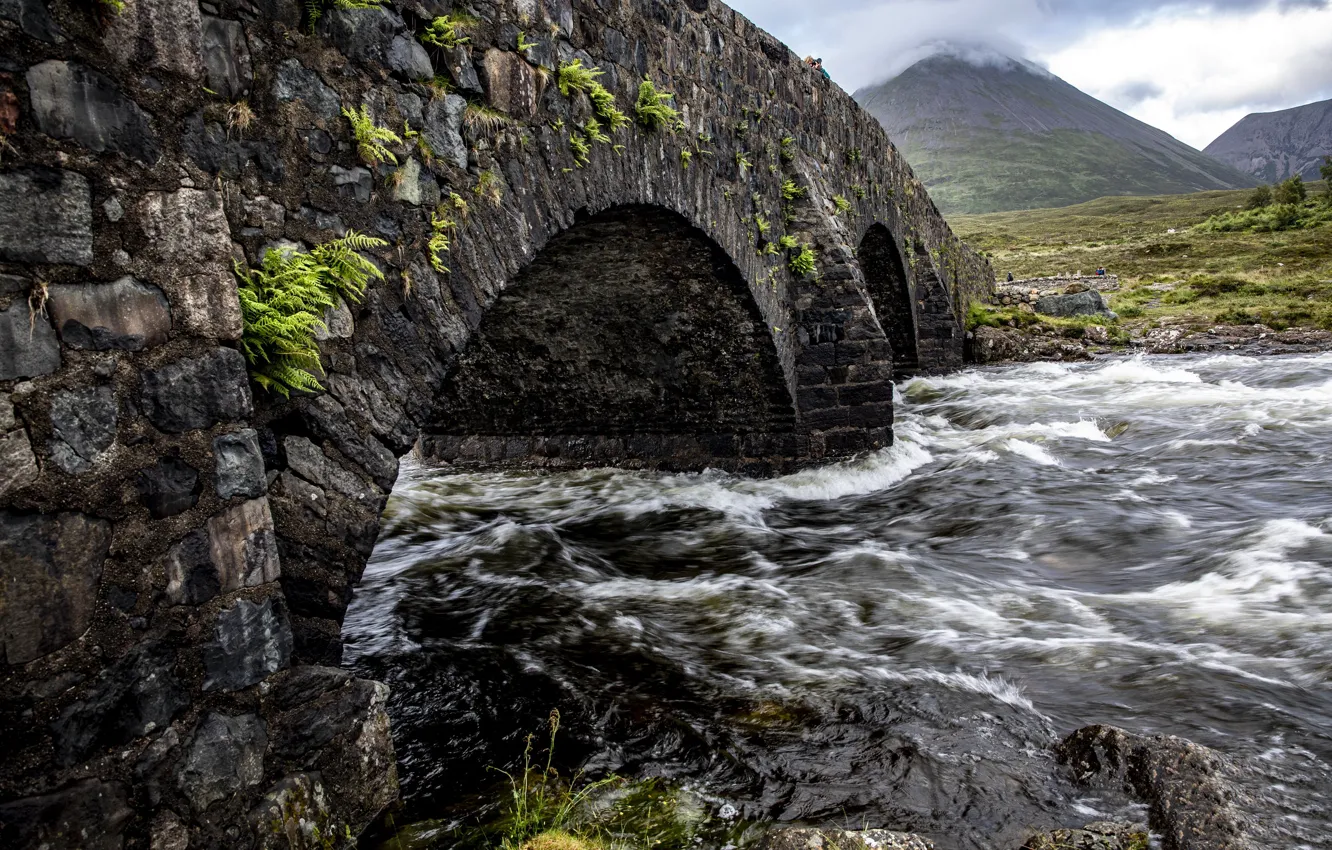 Photo wallpaper bridge, river, stream