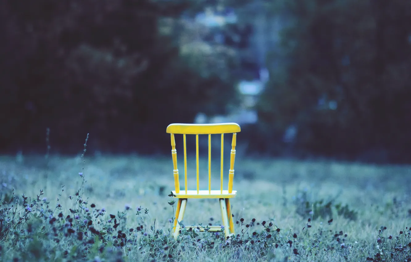 Photo wallpaper grass, yard, chair