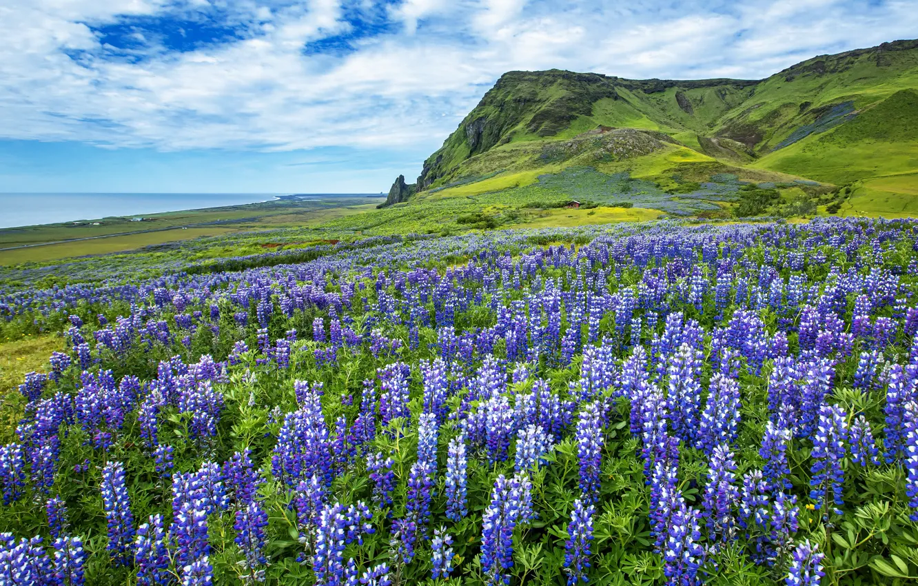 Photo wallpaper summer, clouds, flowers, green, hills, meadow, space, flowering