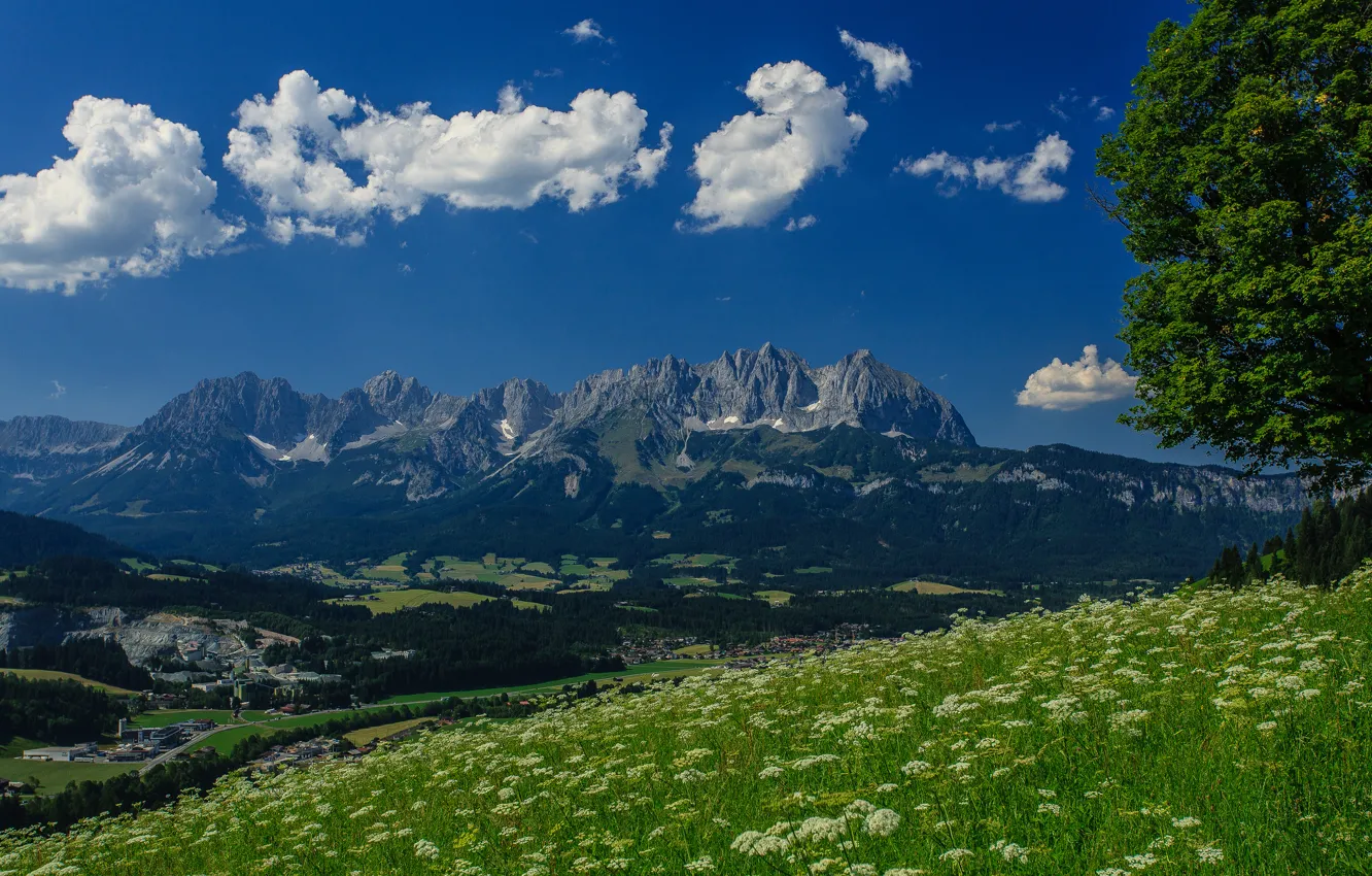 Photo wallpaper trees, mountains, Austria, Alps, meadow, panorama, Austria, Alps