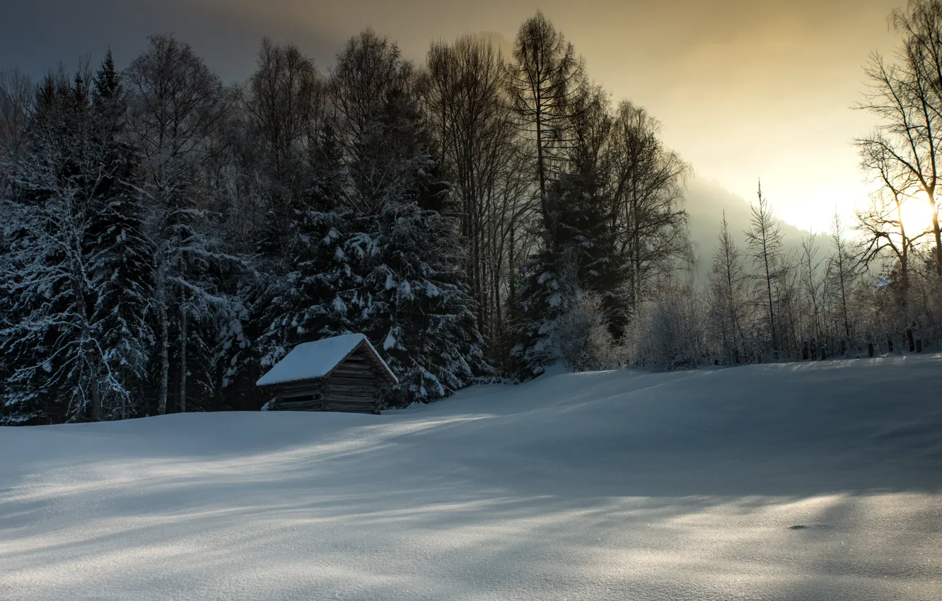 Photo wallpaper winter, light, snow, house