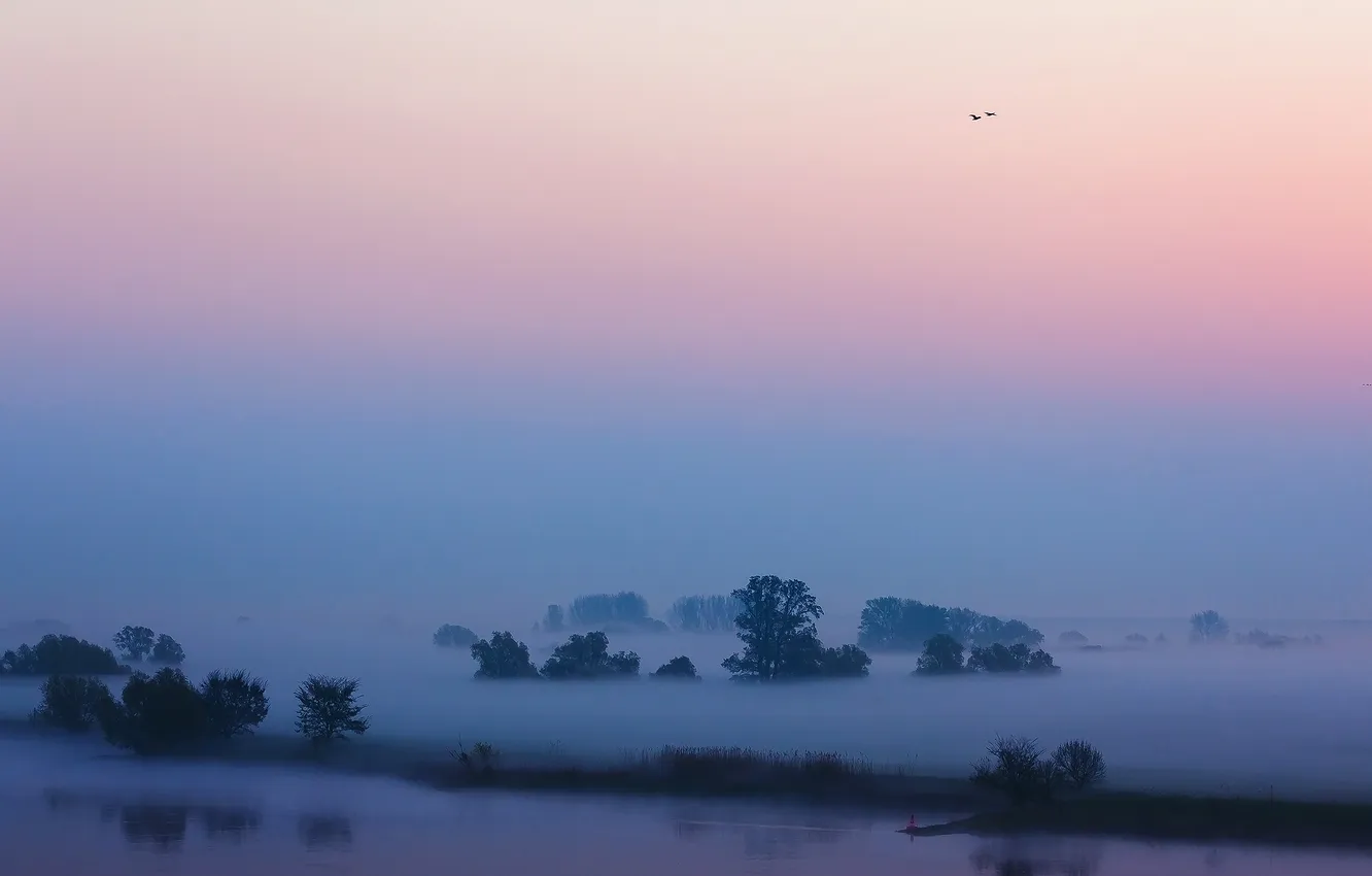 Photo wallpaper the sky, fog, river, morning