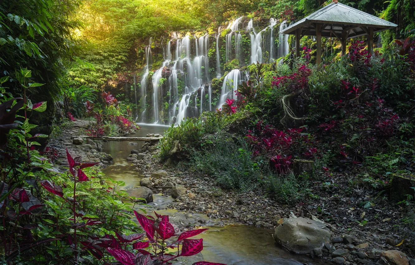 Photo wallpaper forest, stream, vegetation, waterfall, Bali, Indonesia, the bridge, gazebo