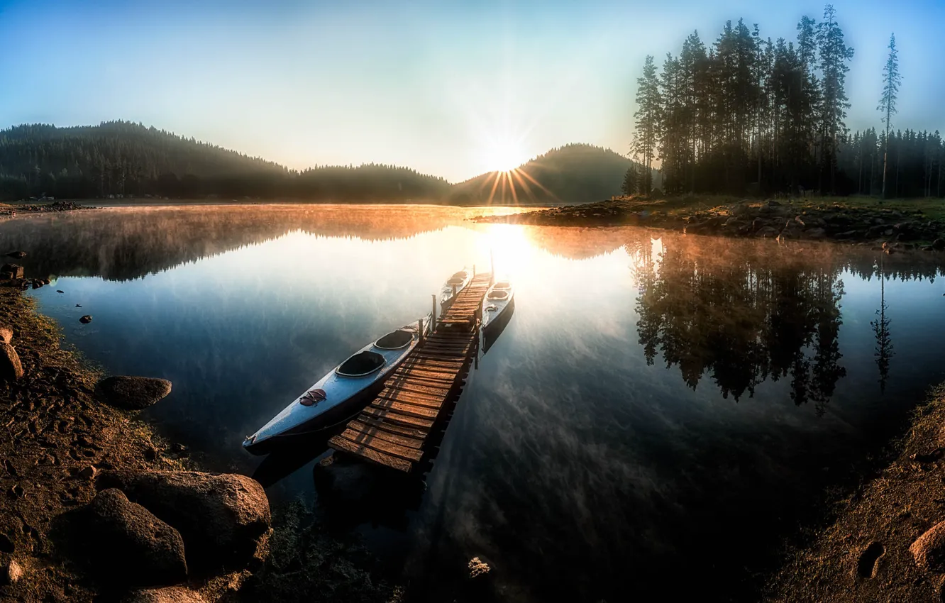 Photo wallpaper forest, the sun, rays, trees, landscape, mountains, nature, lake