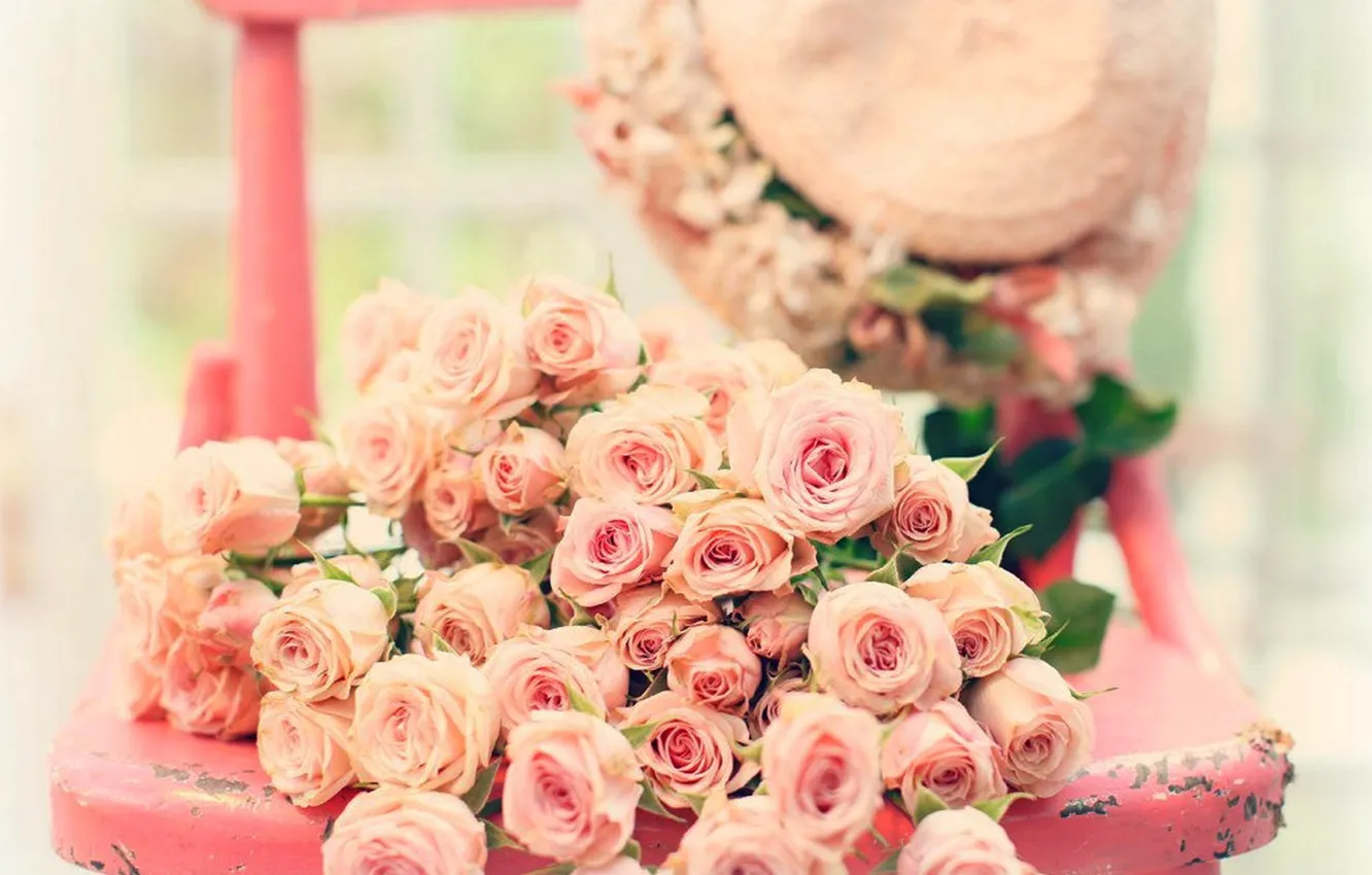 Photo wallpaper flowers, roses, rose, pink, flowers, roses