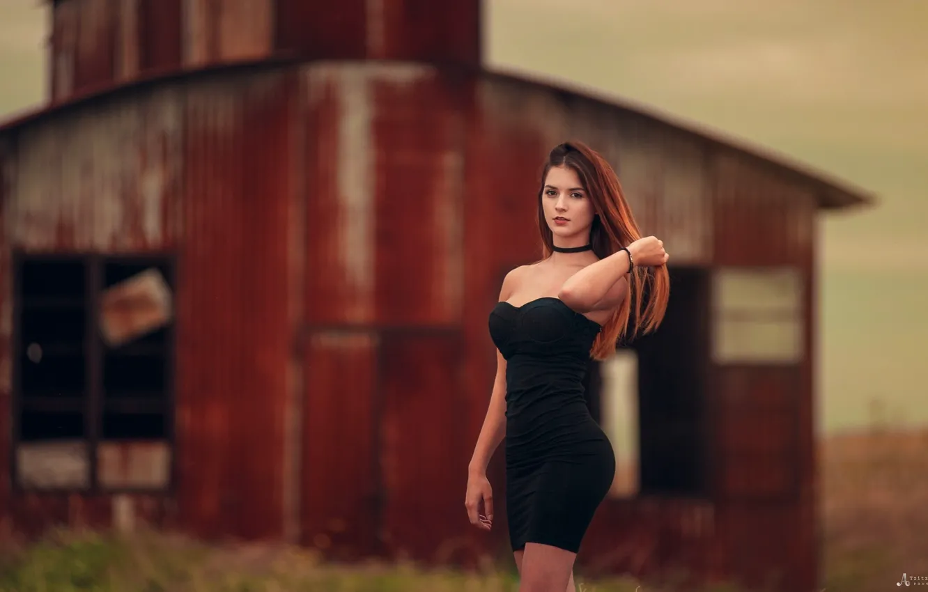 Photo wallpaper girl, pose, makeup, figure, dress, hairstyle, brown hair, beauty