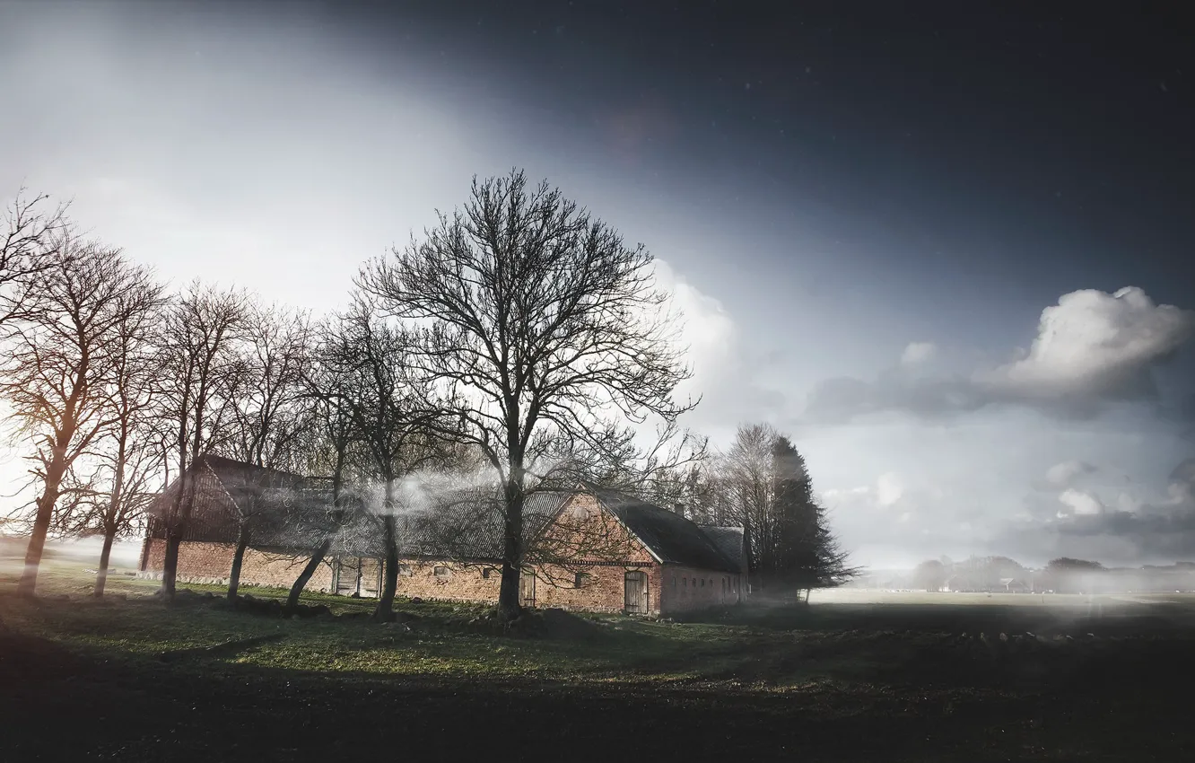 Photo wallpaper field, nature, fog, home, morning