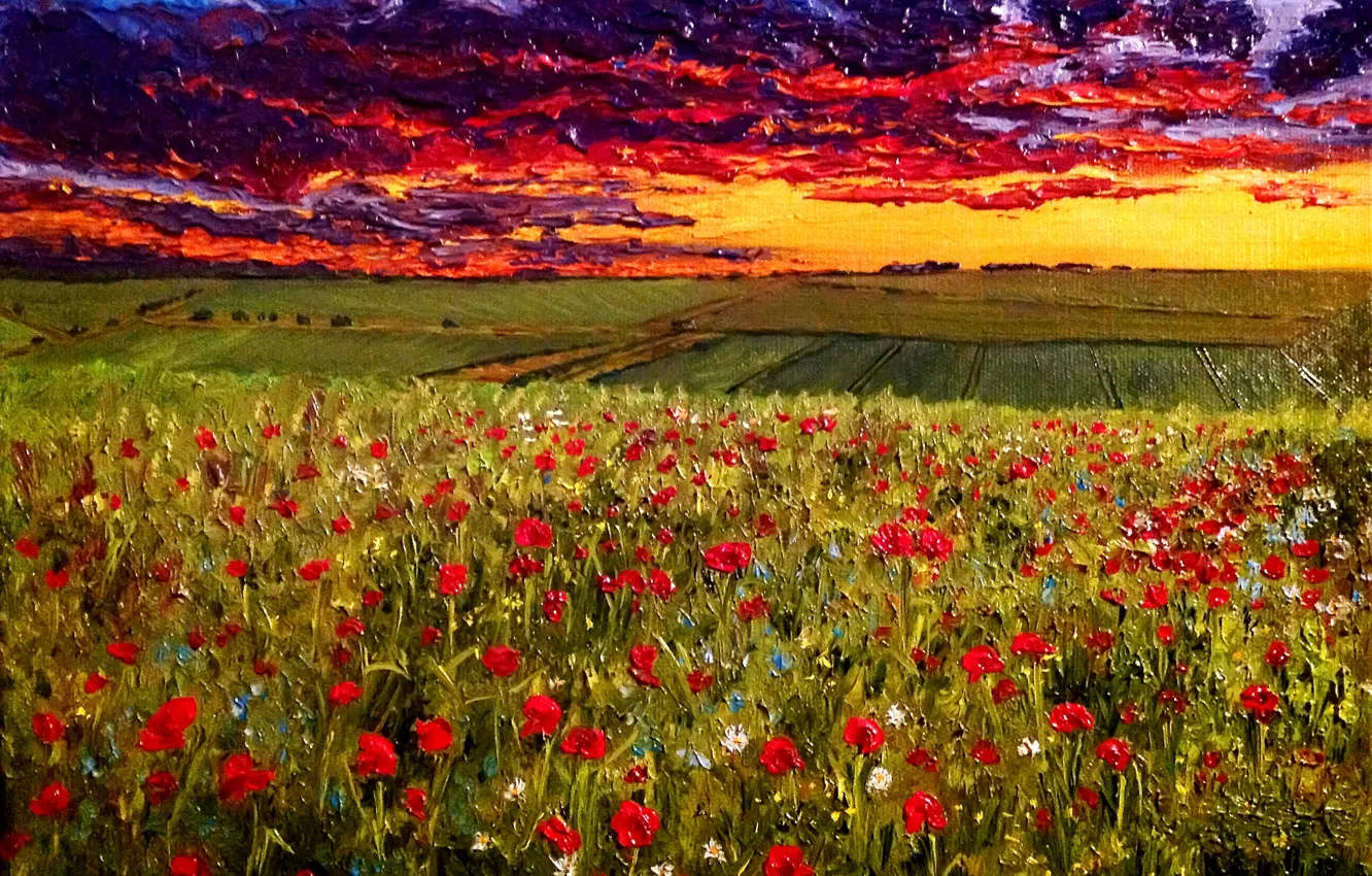 Photo wallpaper oil, picture, canvas, artist O. Katz., &ampquot;the Evening sky over a poppy field&ampquot;