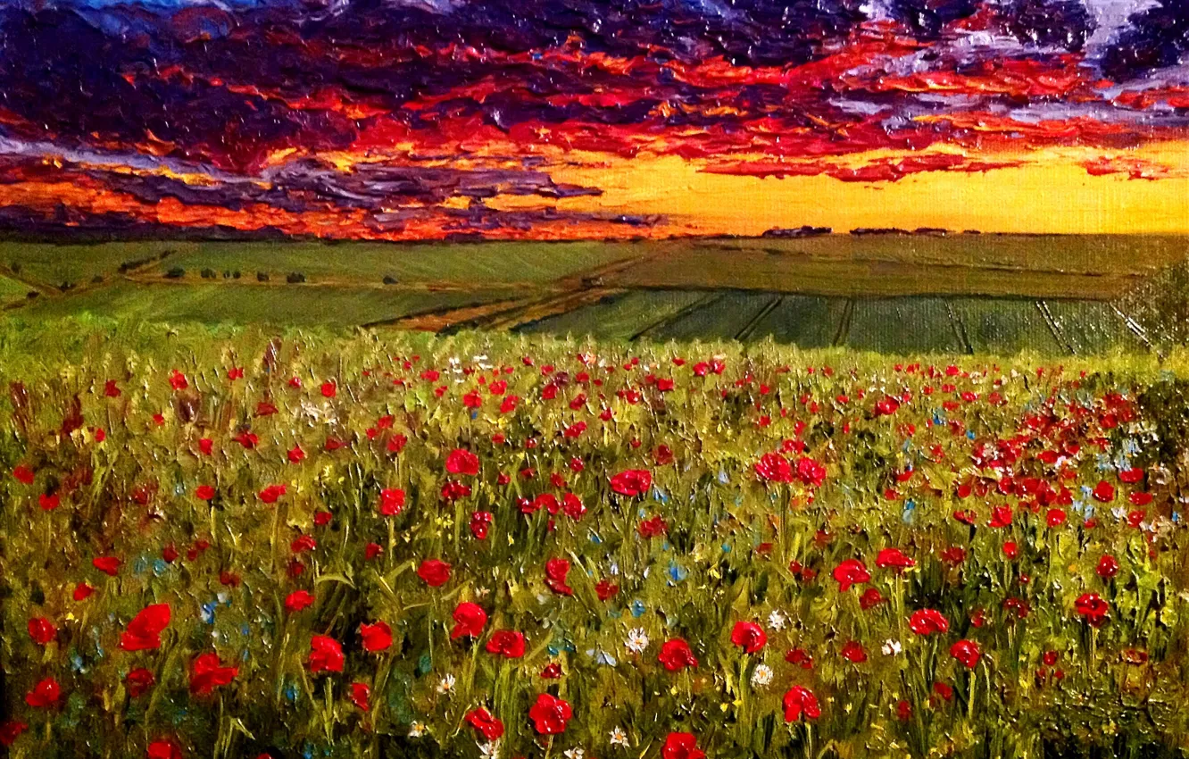 Photo wallpaper oil, picture, canvas, artist O. Katz., "the Evening sky over a poppy field"