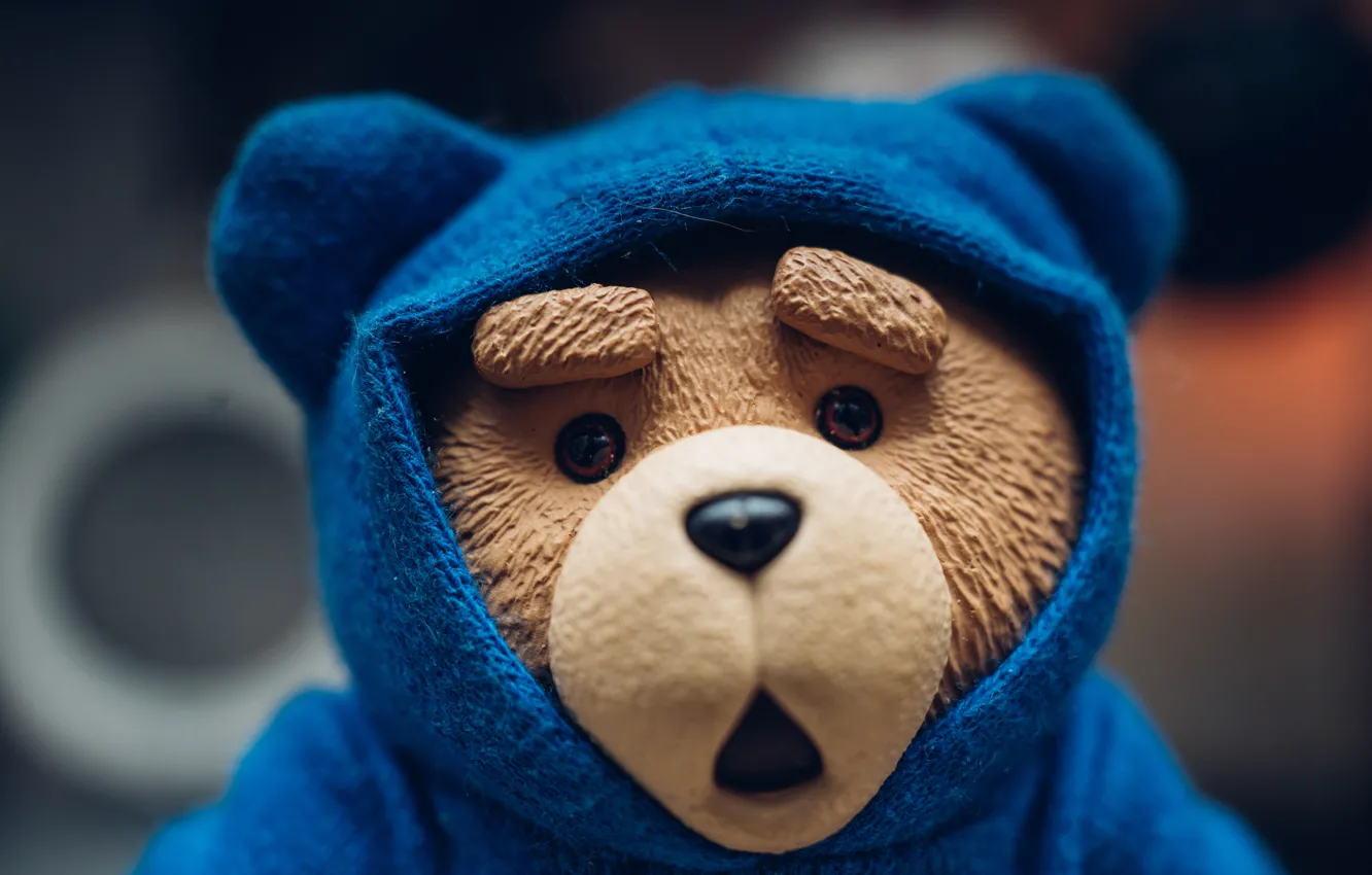 Photo wallpaper toy, bear, hood, bear