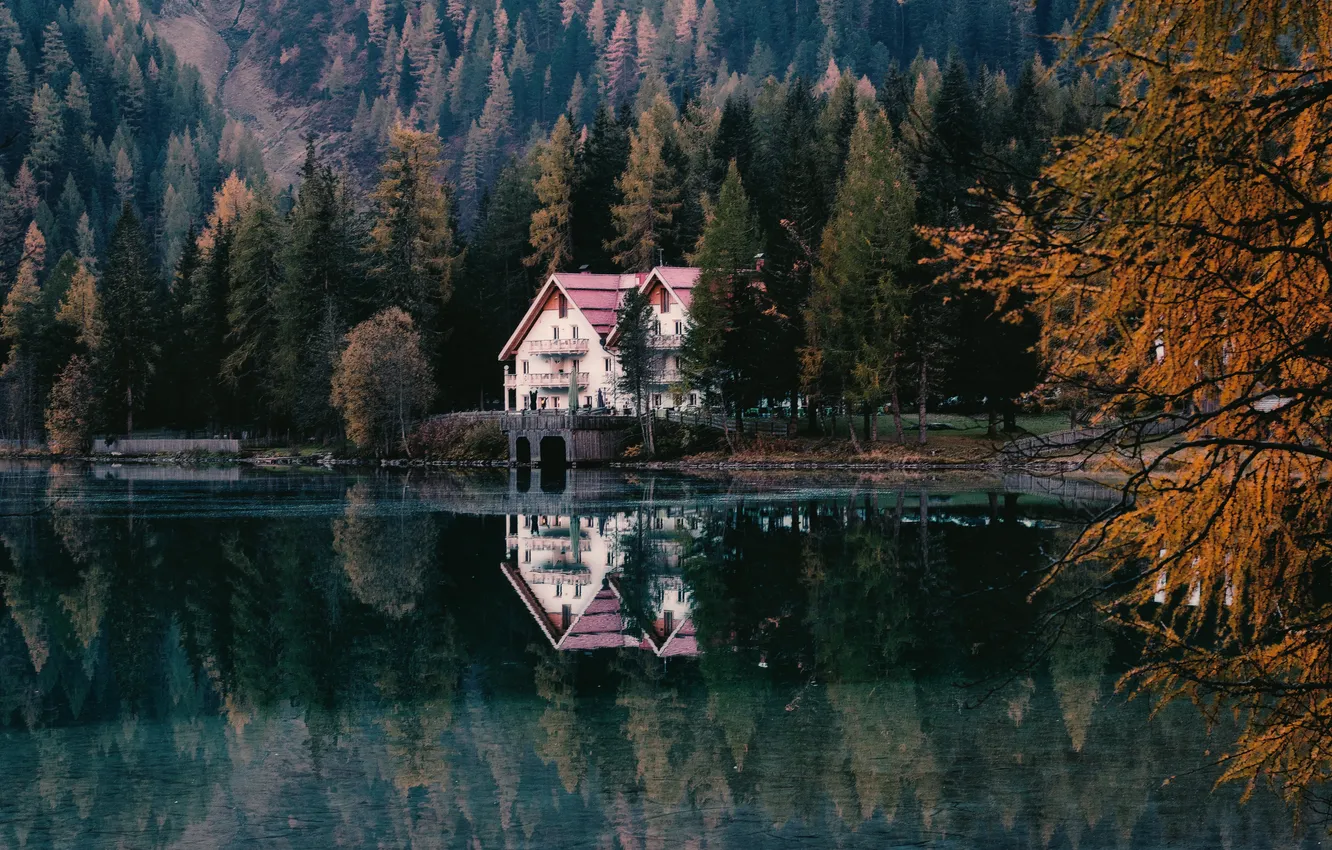 Photo wallpaper forest, trees, landscape, mountains, nature, lake, forest, trees