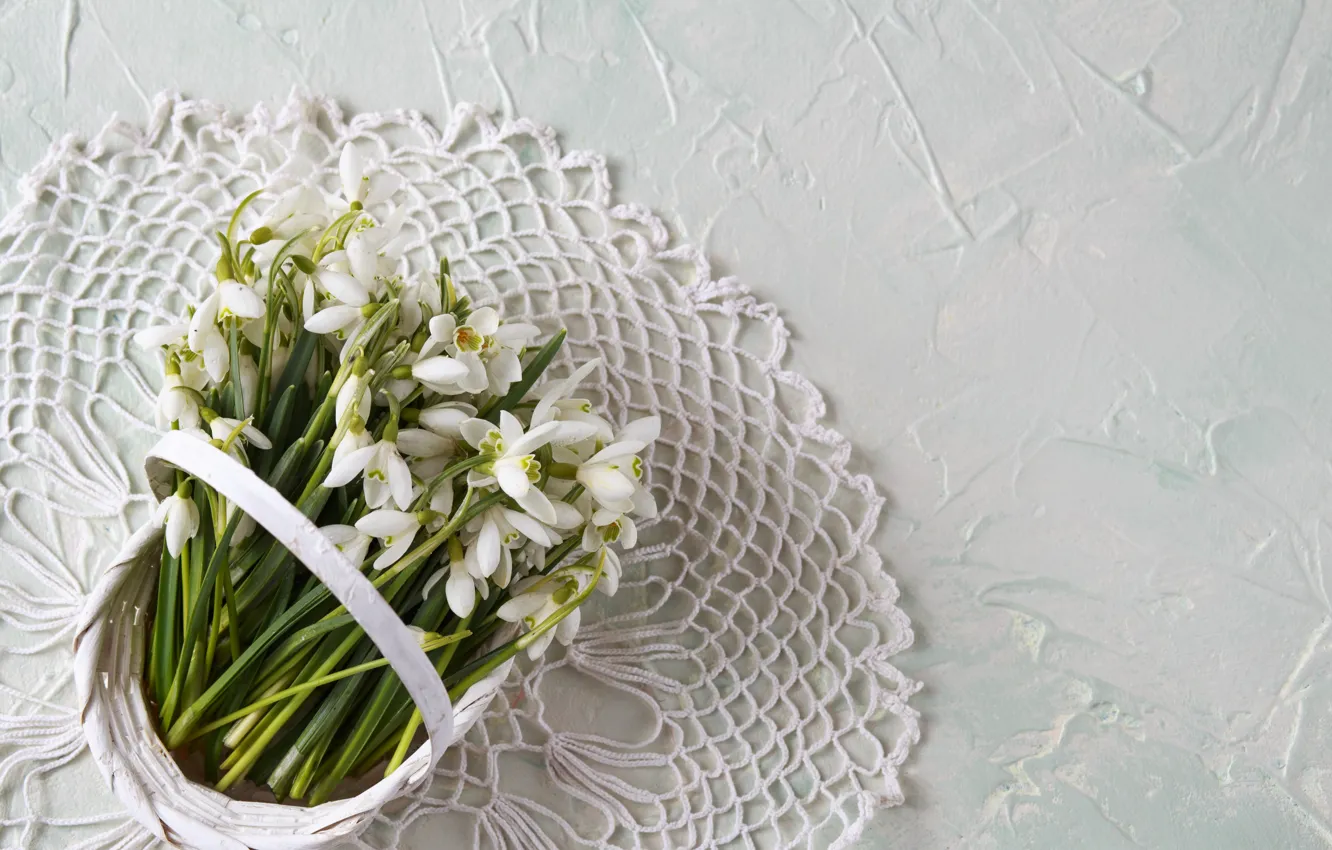 Photo wallpaper flowers, basket, snowdrops, white, flowers, basket, Snowdrops
