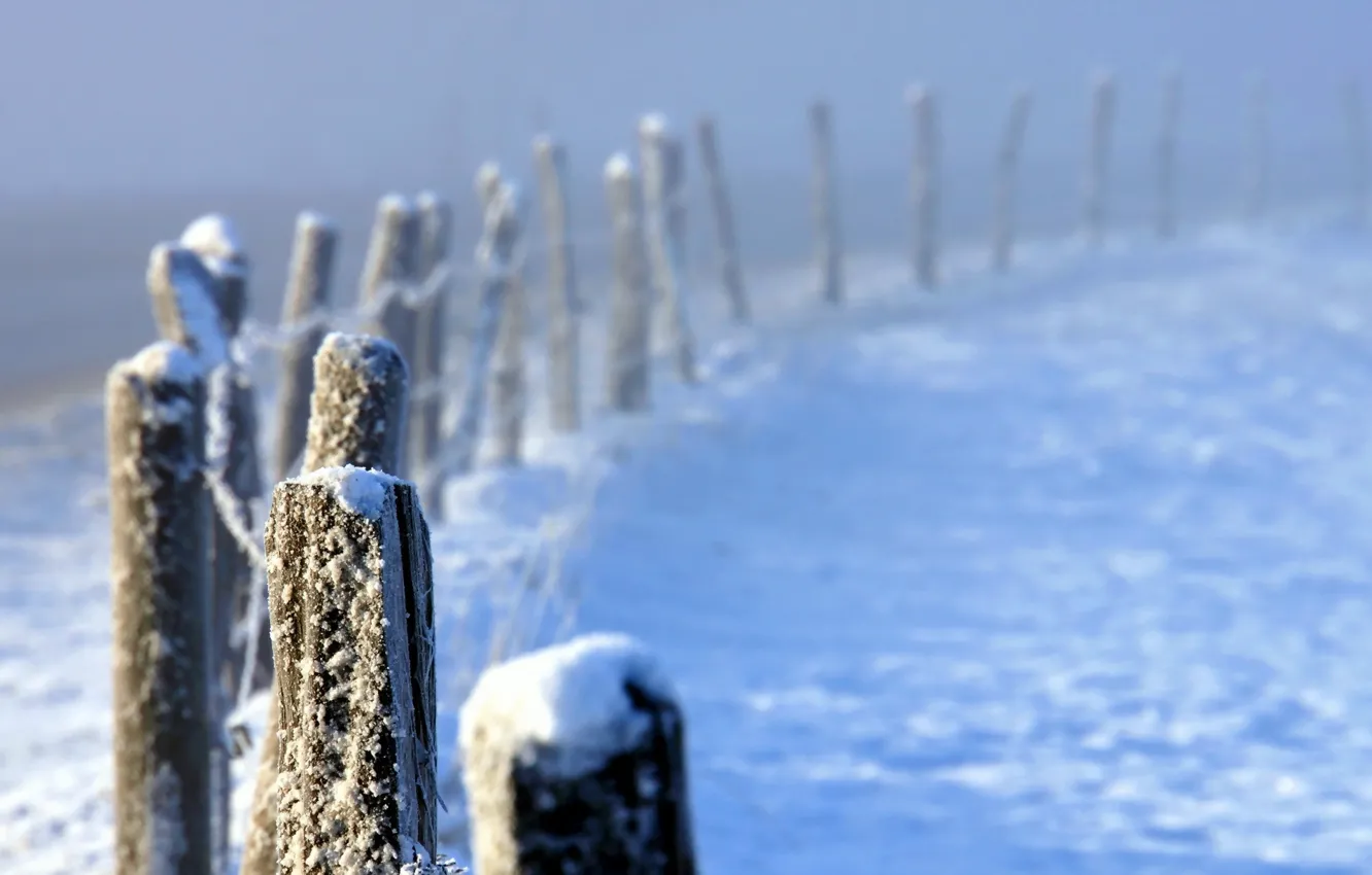 Photo wallpaper winter, fog, the fence
