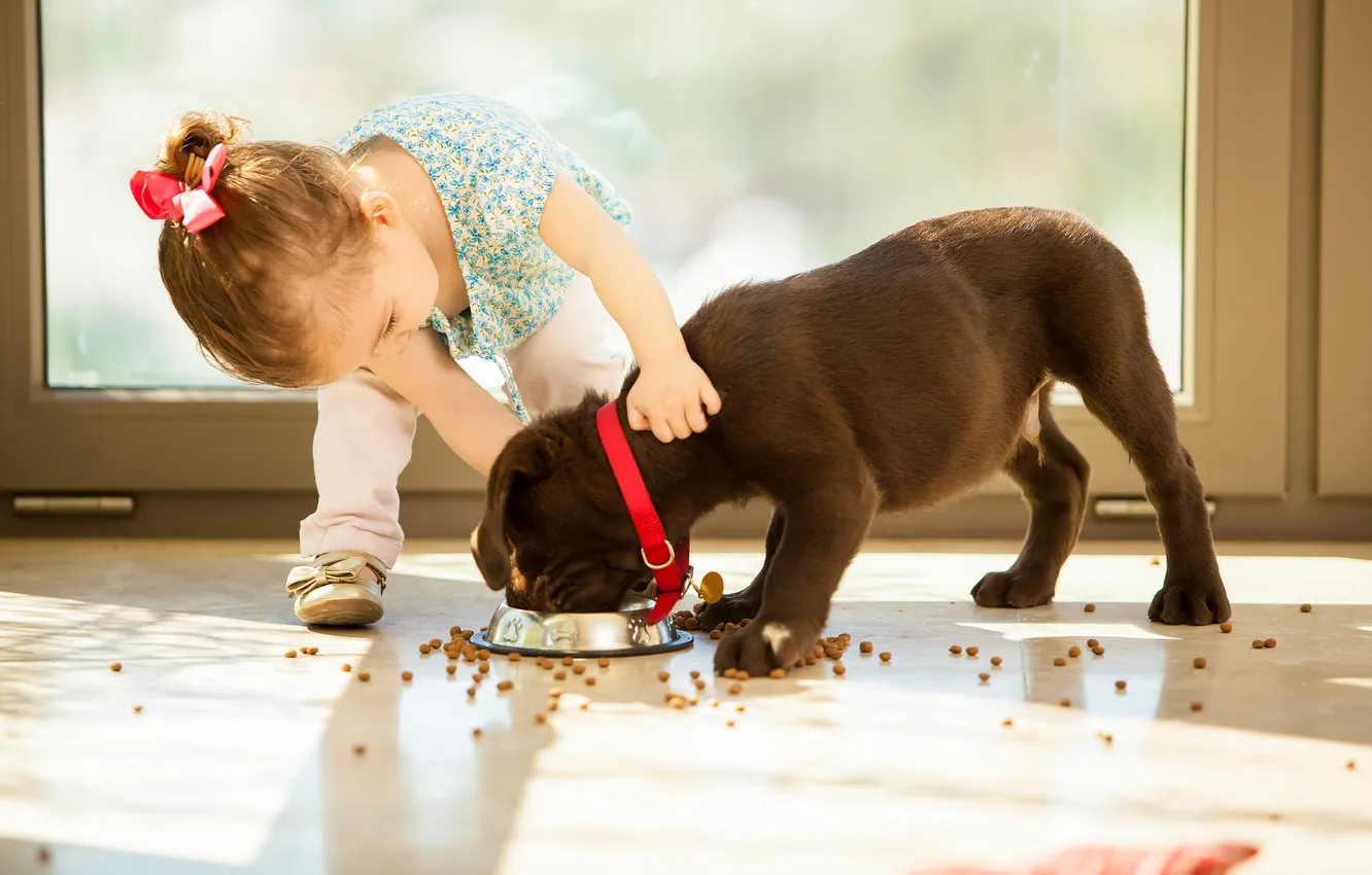 Photo wallpaper dog, girl, puppy, food
