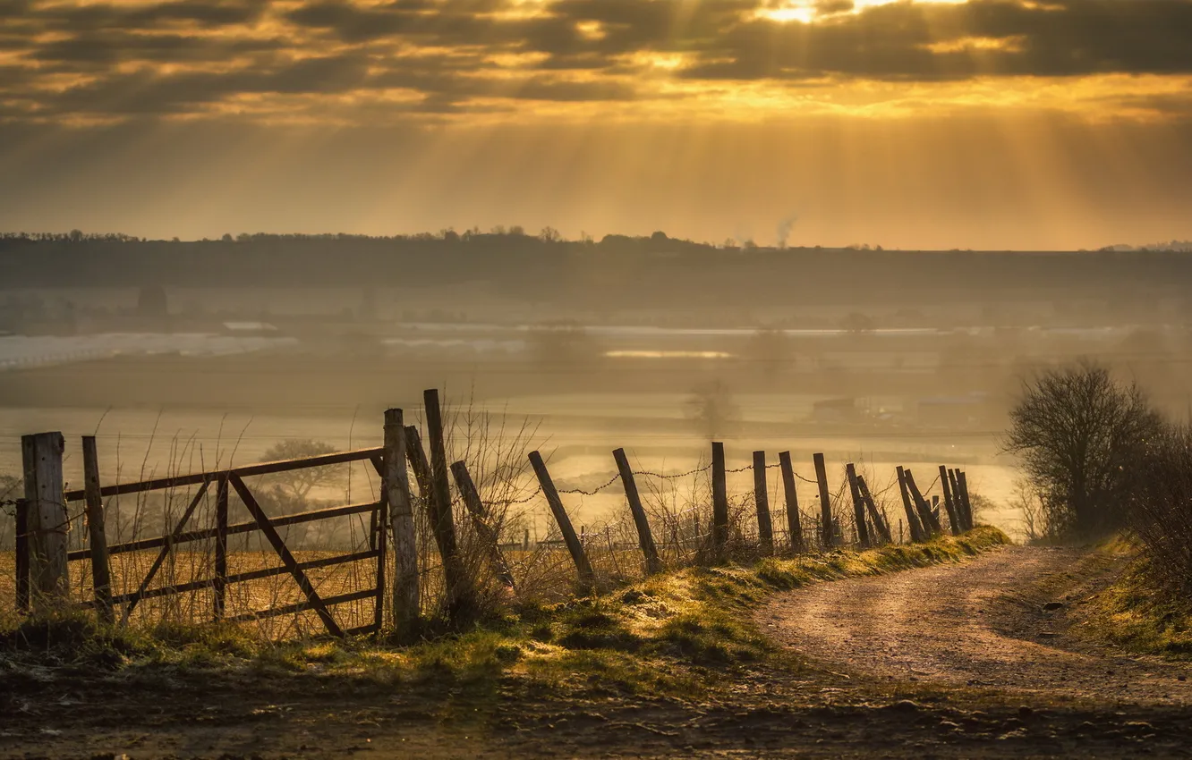 Photo wallpaper road, sunset, the fence