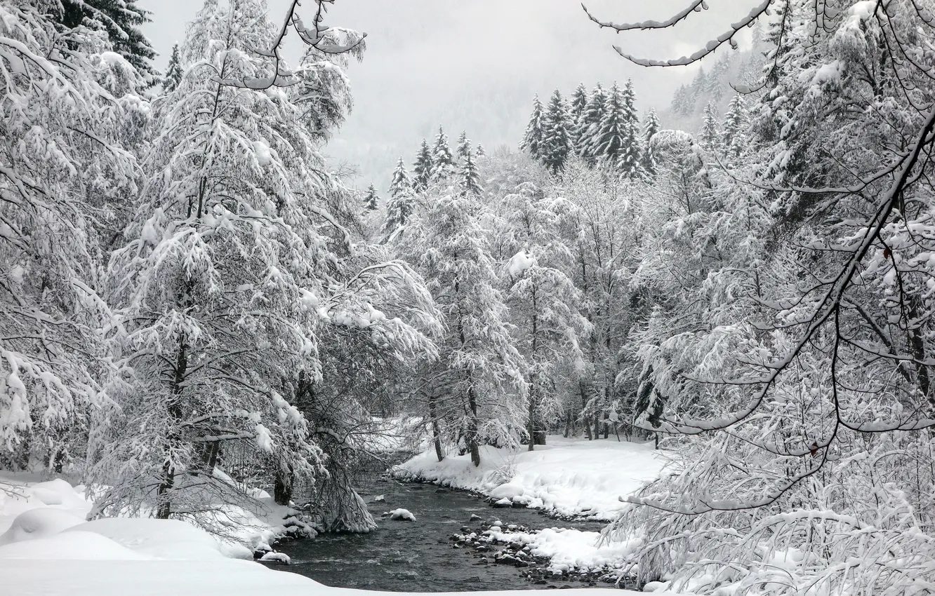 Photo wallpaper winter, forest, landscape, river