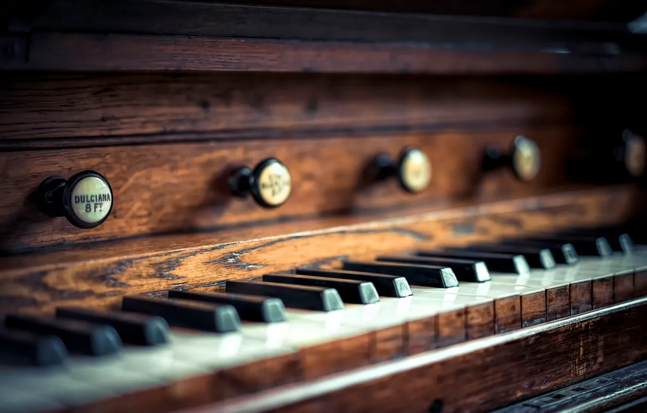 Photo wallpaper macro, keys, Church organ, church organ