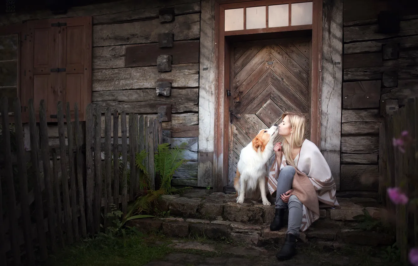 Photo wallpaper girl, home, dog