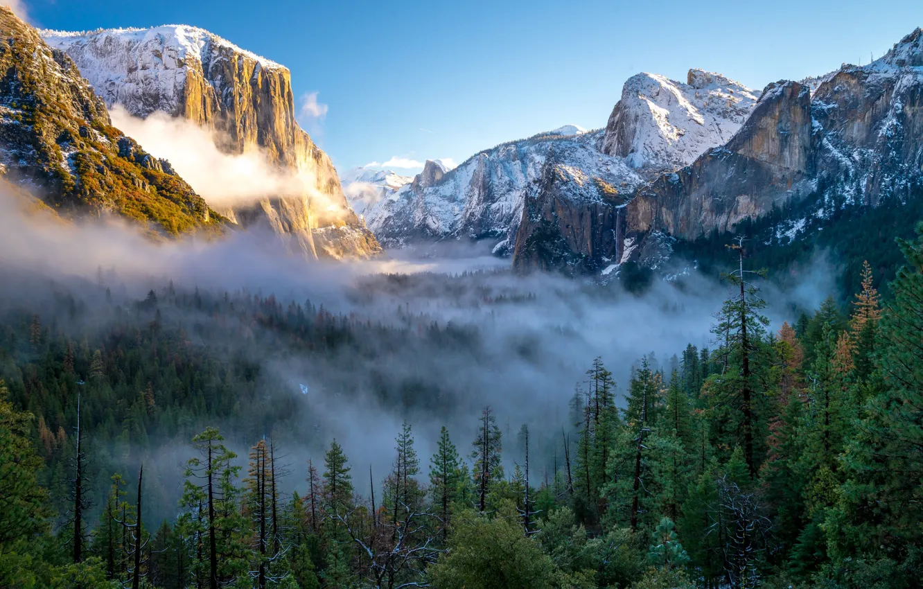 Photo wallpaper the sun, trees, mountains, nature, fog