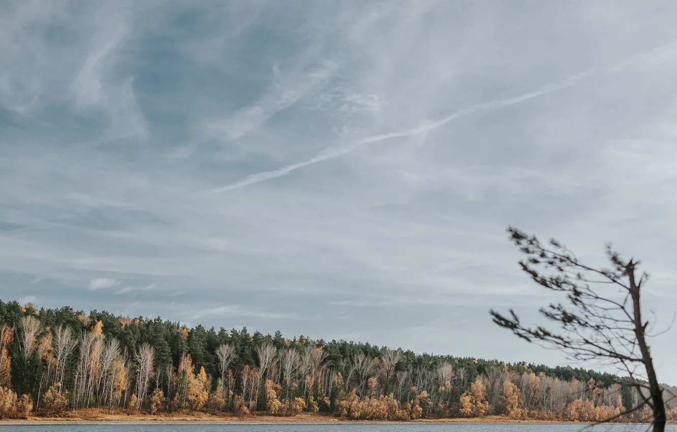 Photo wallpaper autumn, forest, the sky, nature, river