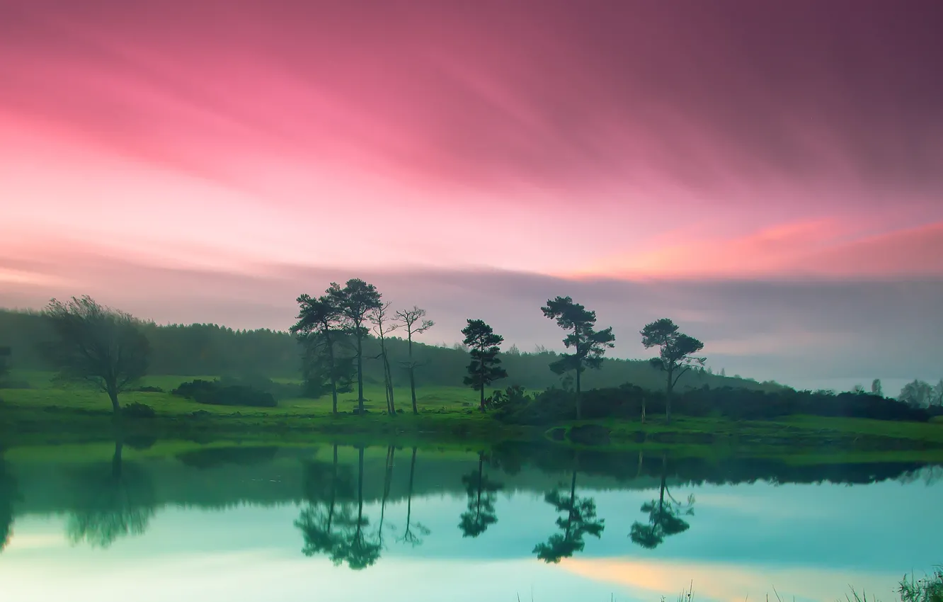 Photo wallpaper the sky, nature, green, river, shore, pink