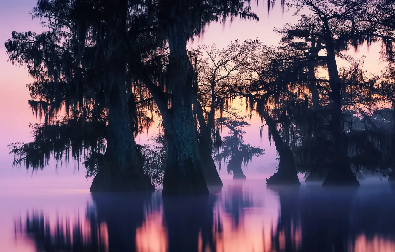 Photo wallpaper water, trees, nature, fog, lake, reflection, river, the evening