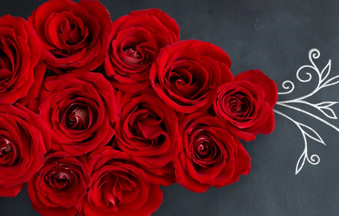 Photo wallpaper flowers, red, roses, red, buds, romantic, roses