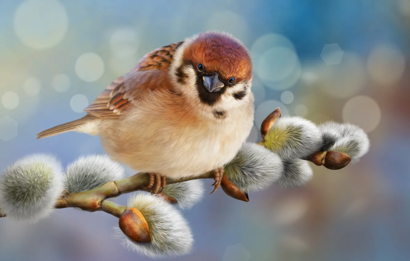 Photo wallpaper glare, background, bird, photoshop, branch, Sparrow, bird, Verba