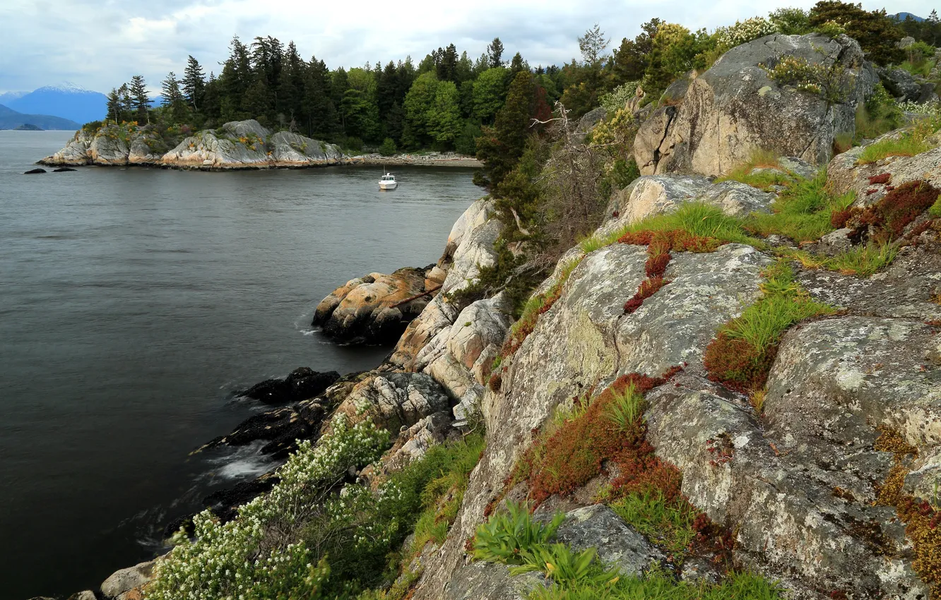 Photo wallpaper grass, trees, stones, coast, Canada, boat, Bay, rock