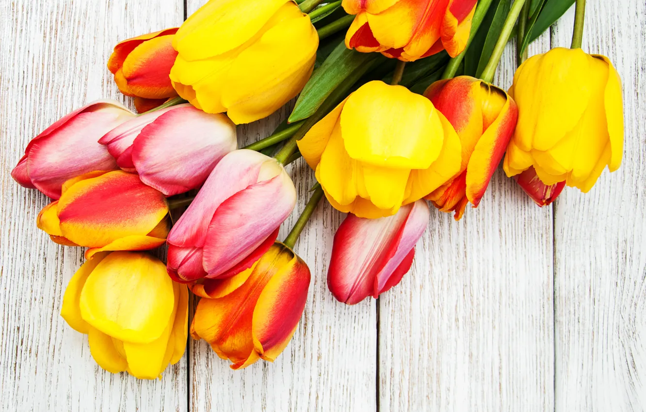 Photo wallpaper bouquet, yellow, tulips, pink, Olena Rudo