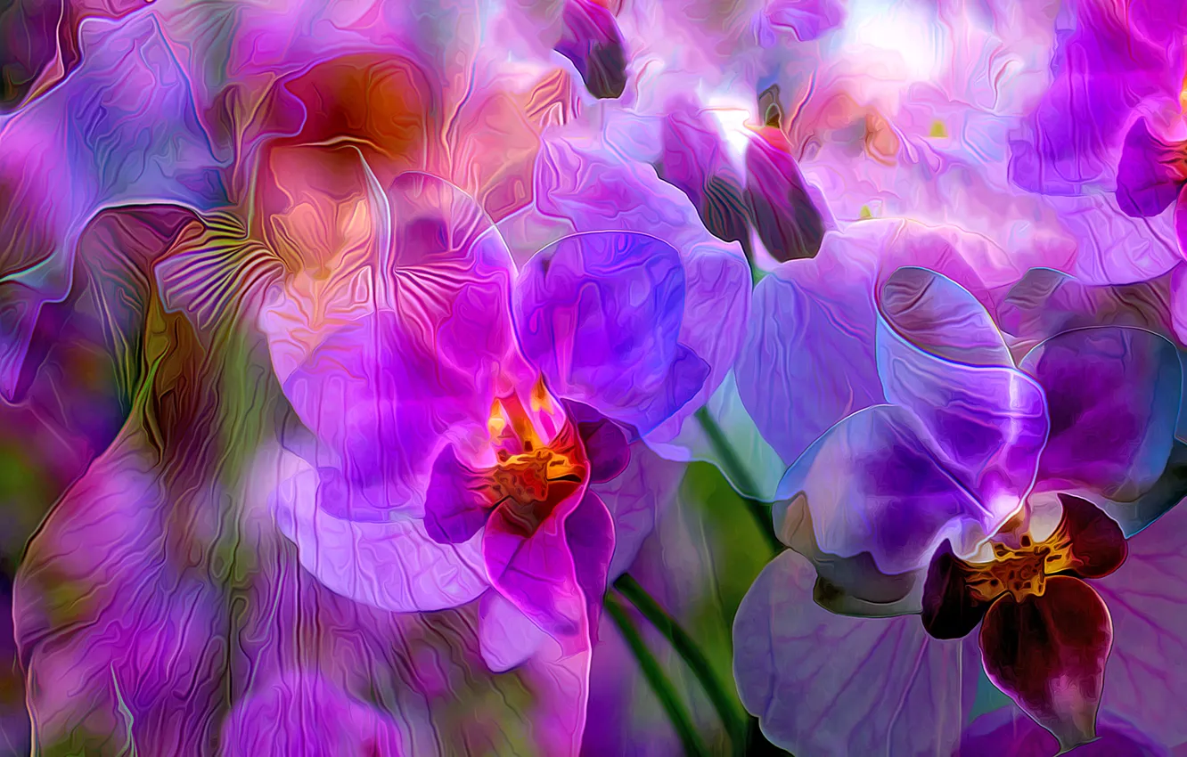 Photo wallpaper line, flowers, rendering, paint, petals