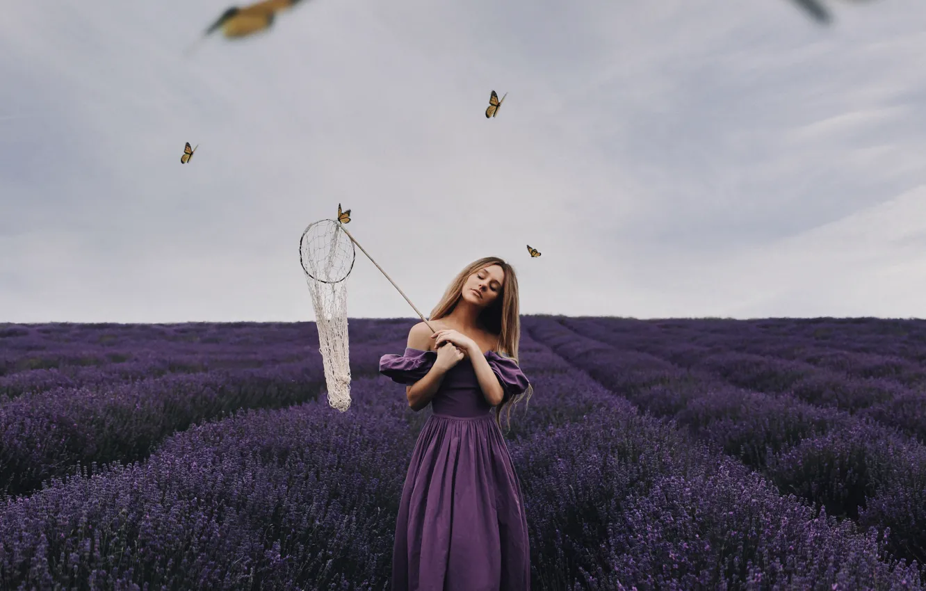 Photo wallpaper field, girl, butterfly, mood, the net, lavender