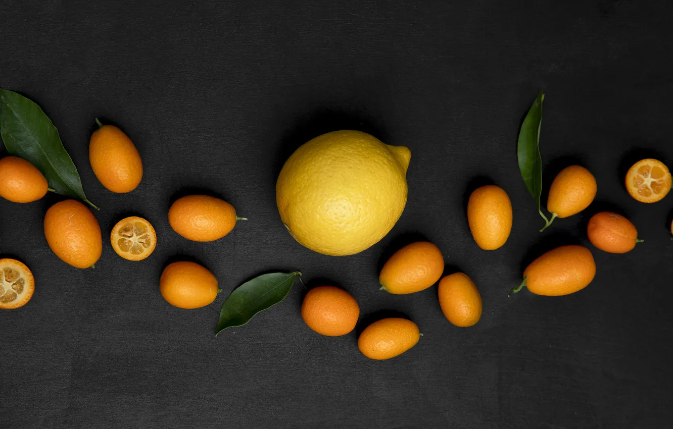 Photo wallpaper leaves, the dark background, lemon, citrus, fruit, slices, composition, kumquat