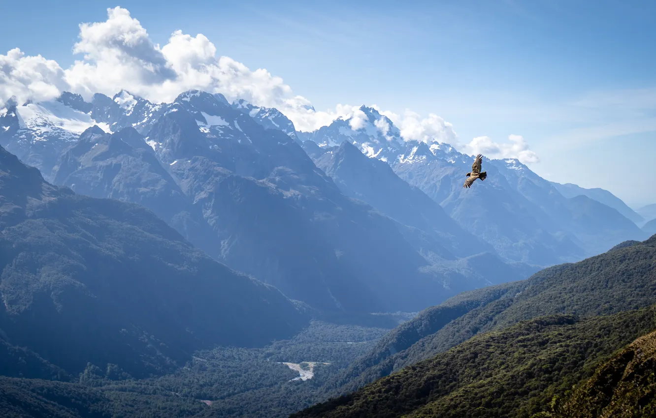 Photo wallpaper clouds, mountains, bird, flight