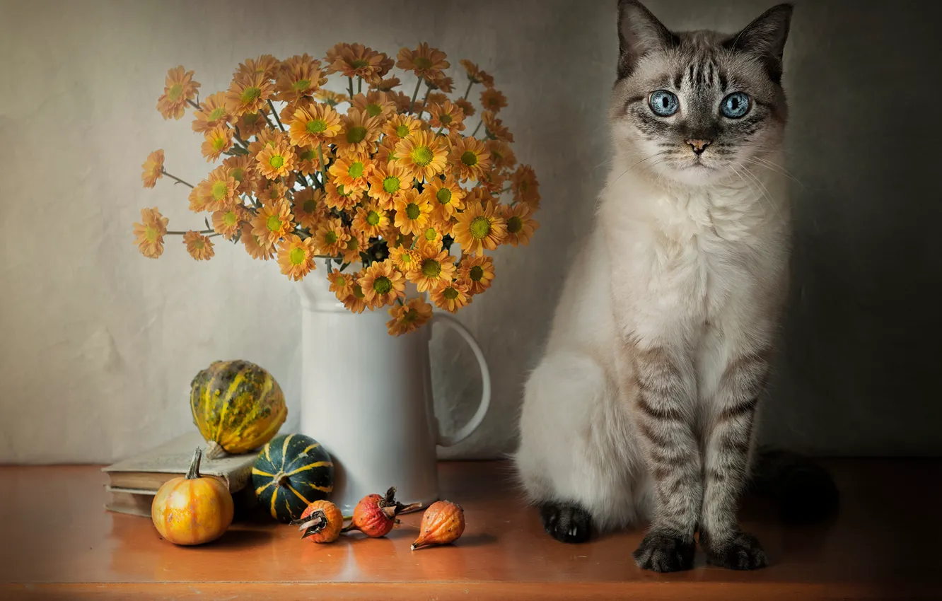 Photo wallpaper cat, cat, flowers, bouquet, still life
