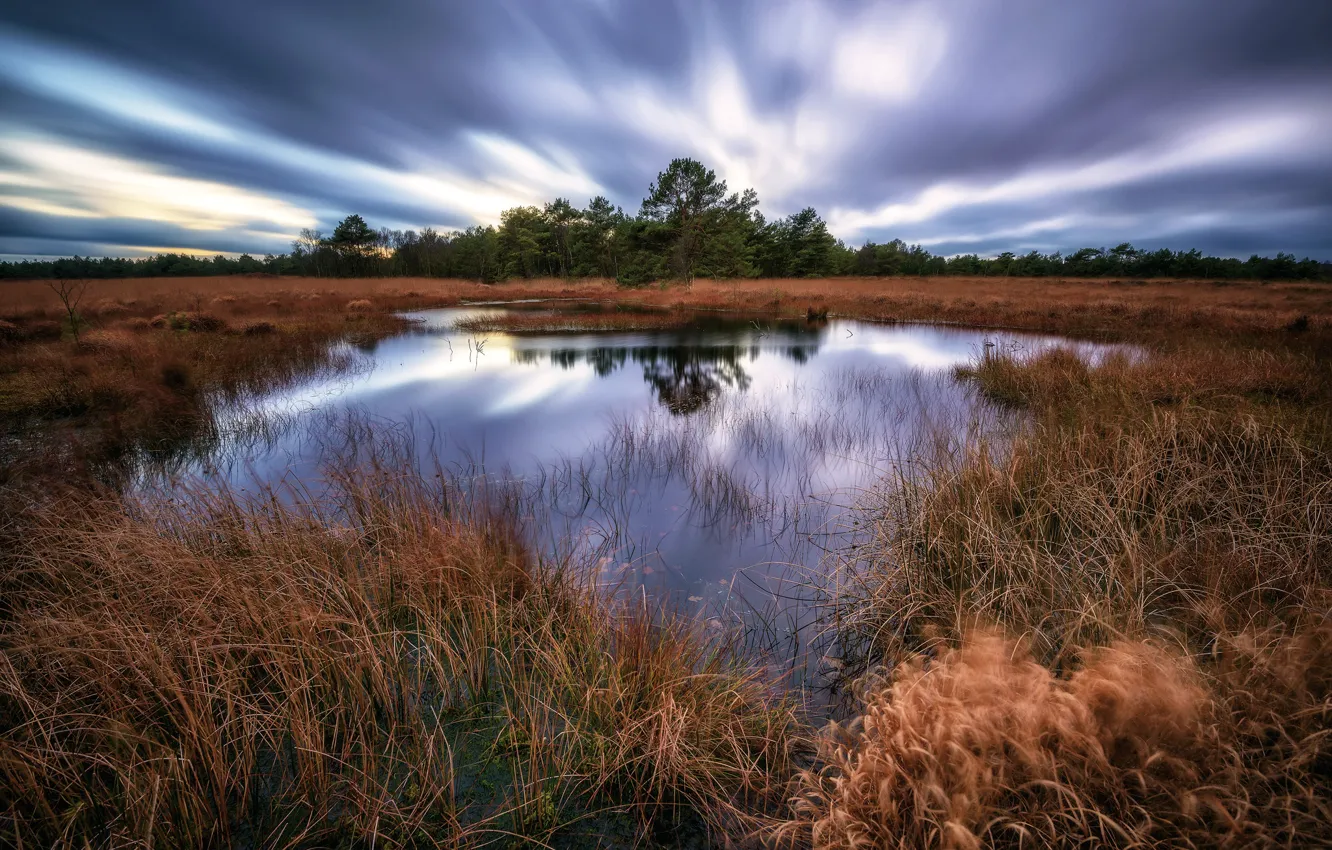 Photo wallpaper the sky, trees, lake