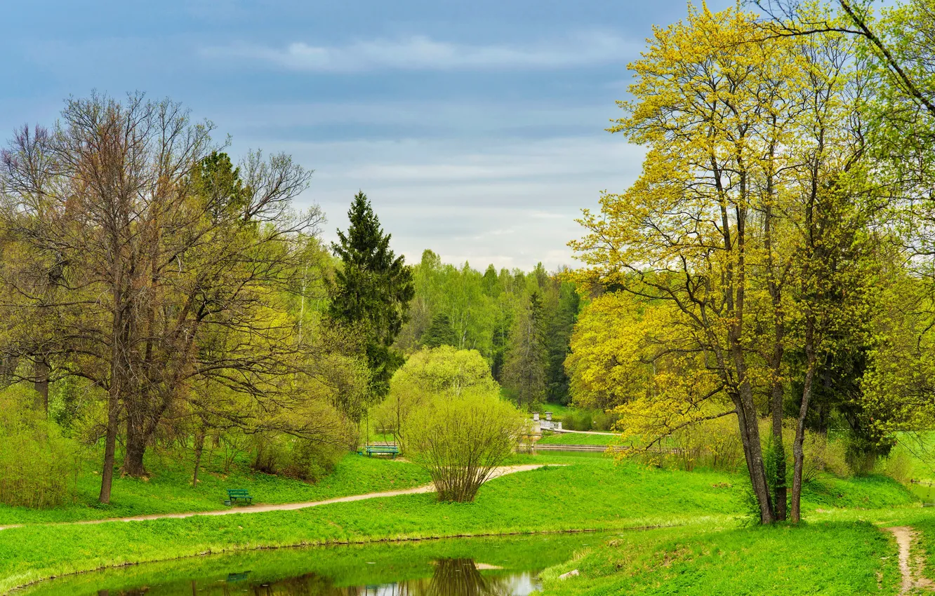 Photo wallpaper greens, the sky, grass, trees, Park, spring, Saint Petersburg, Russia