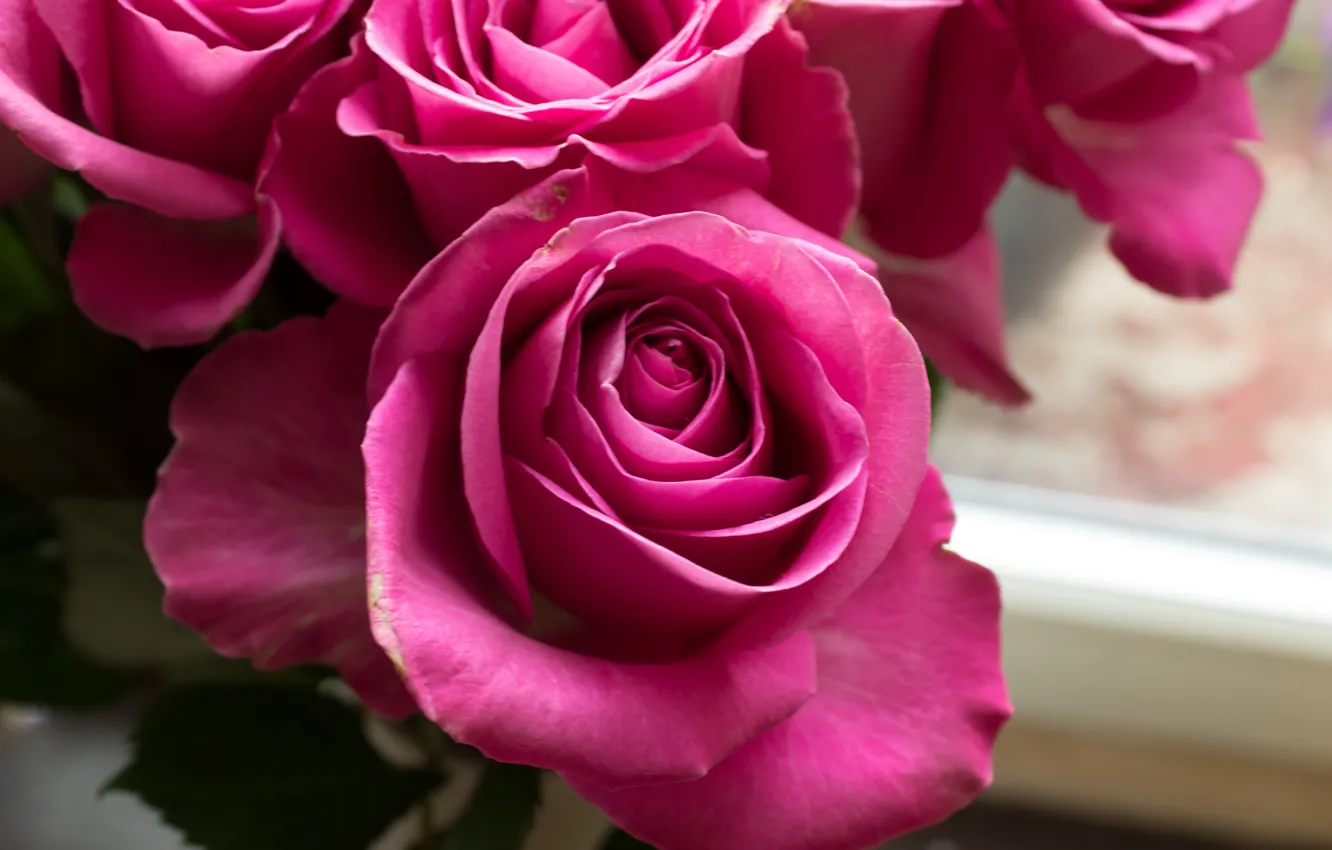 Photo wallpaper flowers, roses, bouquet, petals pink, pink buds