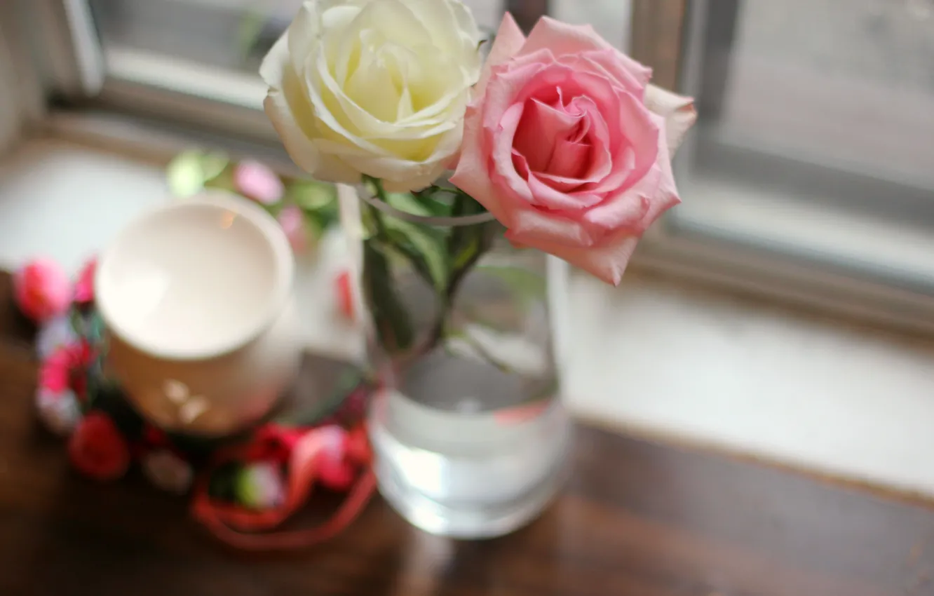 Photo wallpaper flowers, pink, roses, white