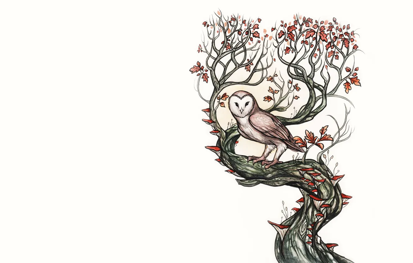 Photo wallpaper leaves, tree, owl, bird, owl