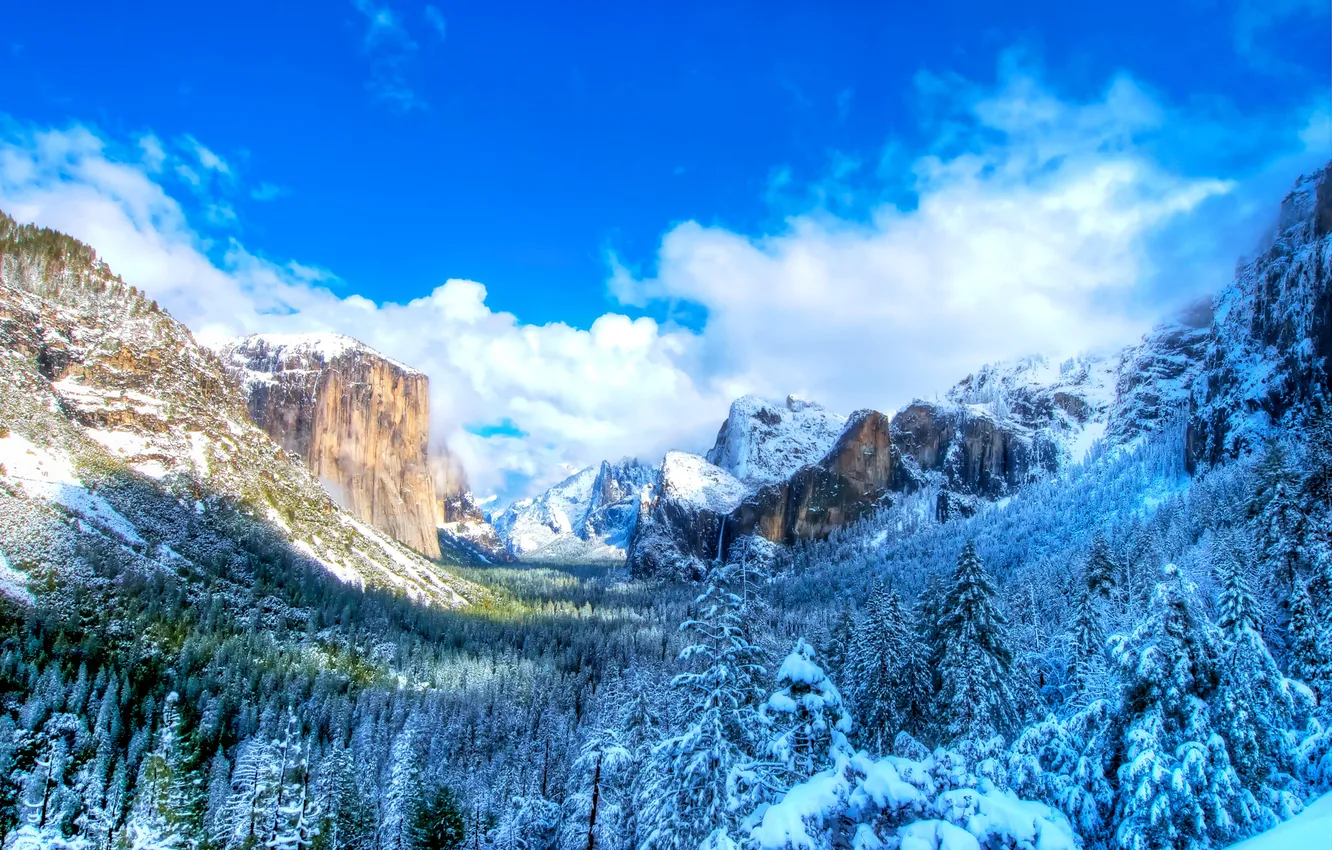 Photo wallpaper winter, the sky, mountains, nature, Park, photo, spruce, USA