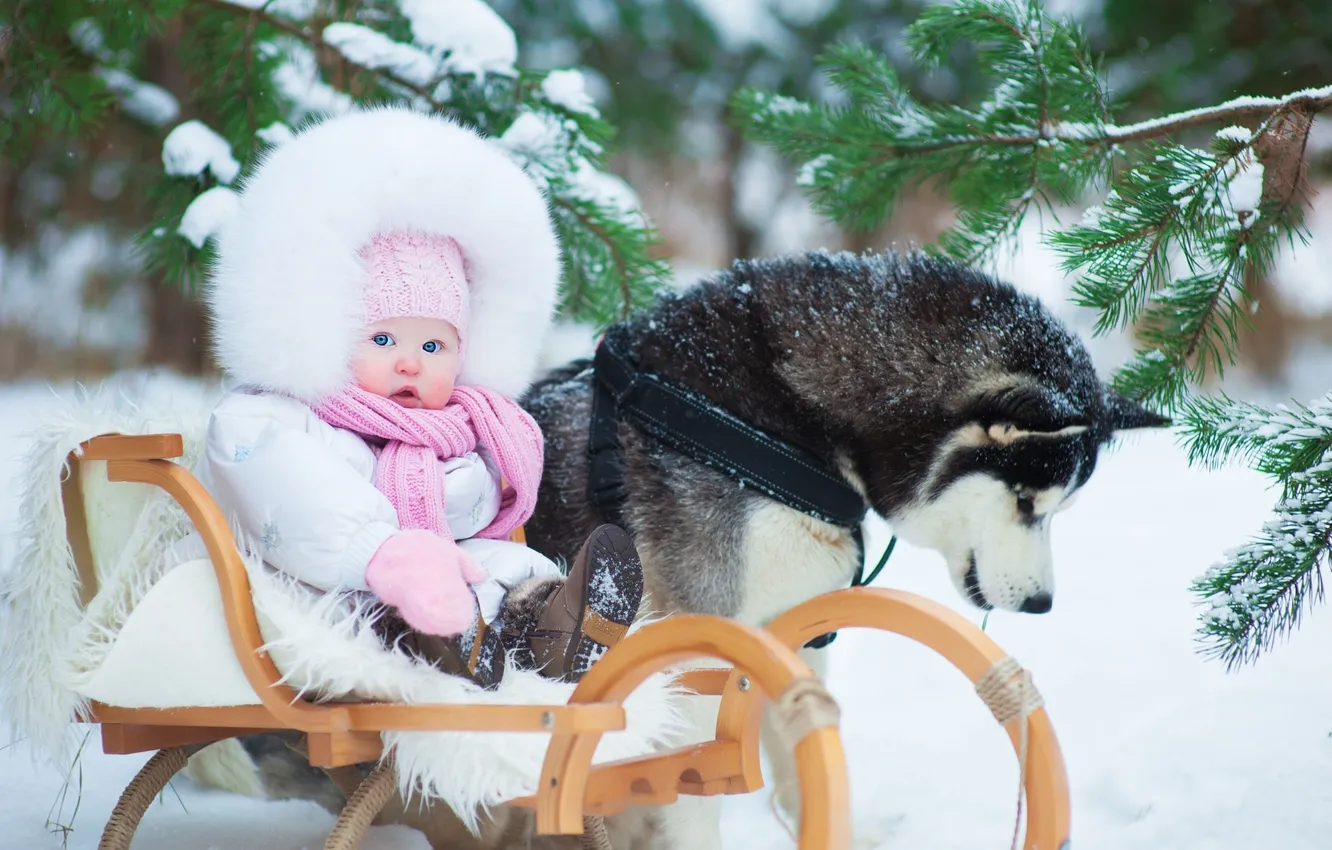 Photo wallpaper trees, winter, snow, child, childhood, kid, kids
