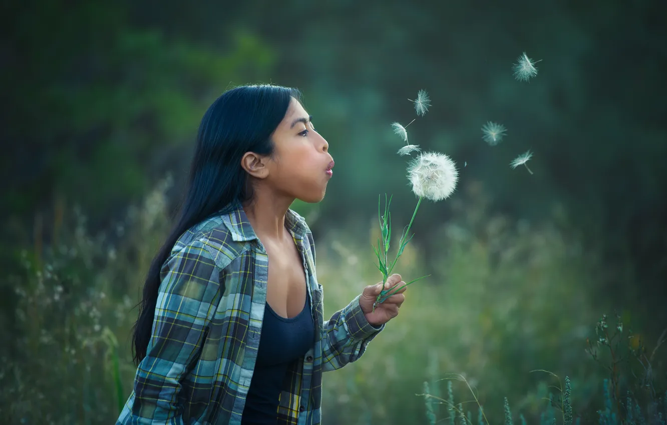 Photo wallpaper dandelion, blow, Edie Layland