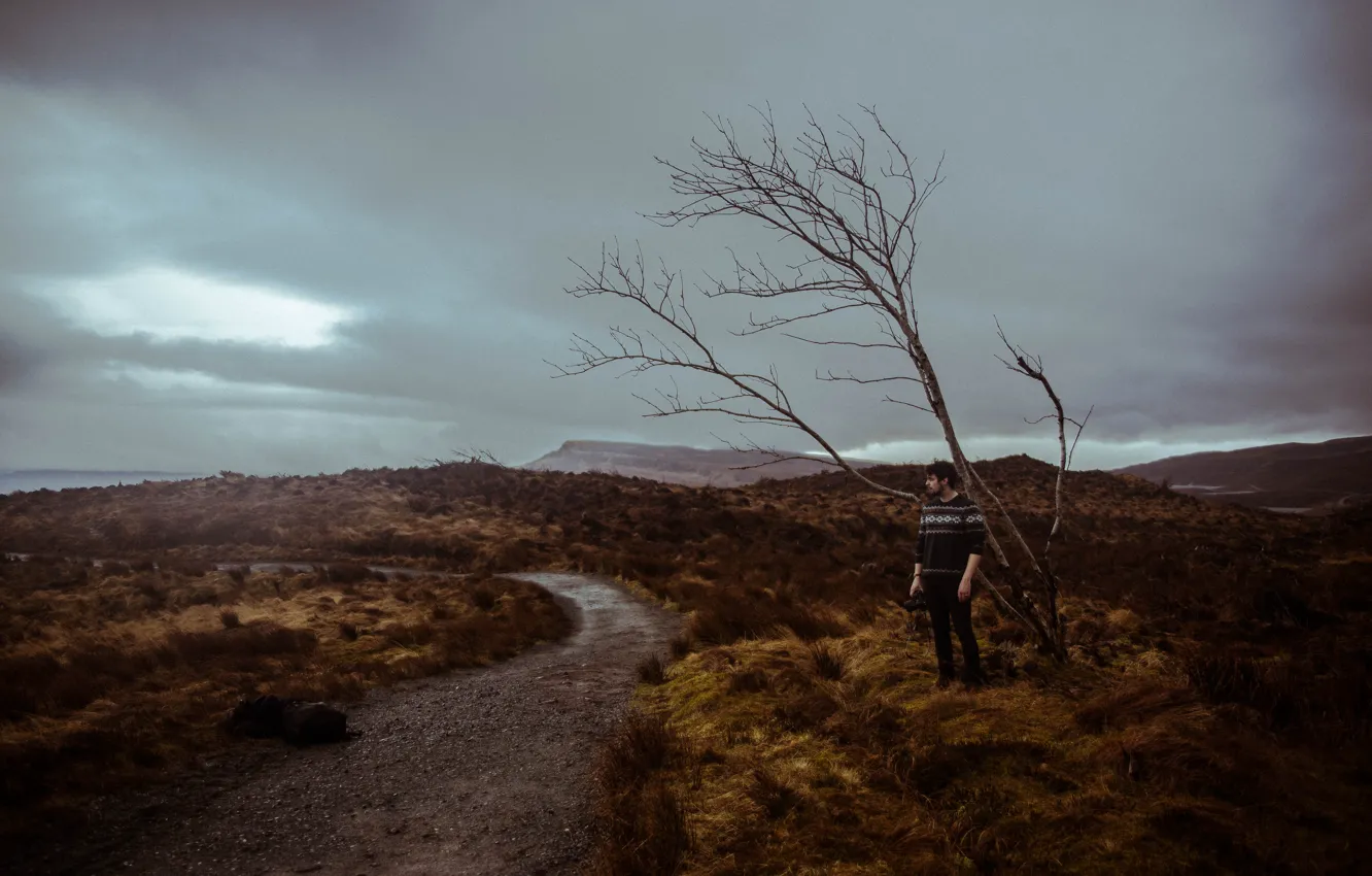 Photo wallpaper storm, camera, tree, man, path, cloudy