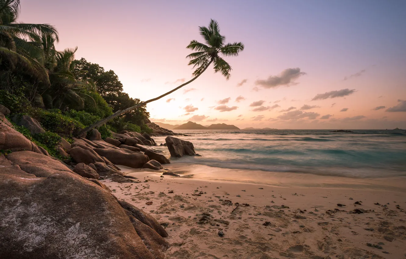 Photo wallpaper beach, sunset, palm trees, the ocean, shore