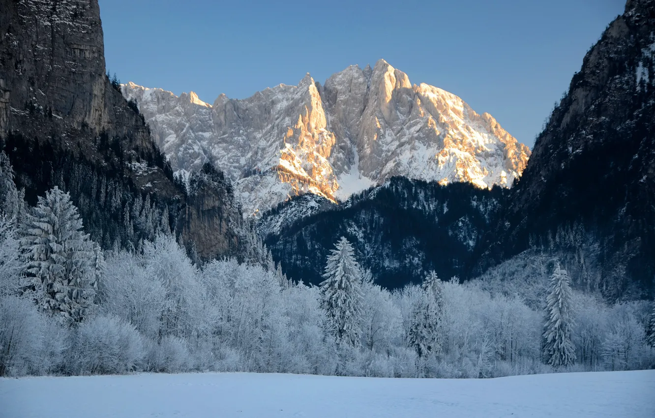 Photo wallpaper winter, the sky, snow, trees, mountains, nature, rocks, Austria